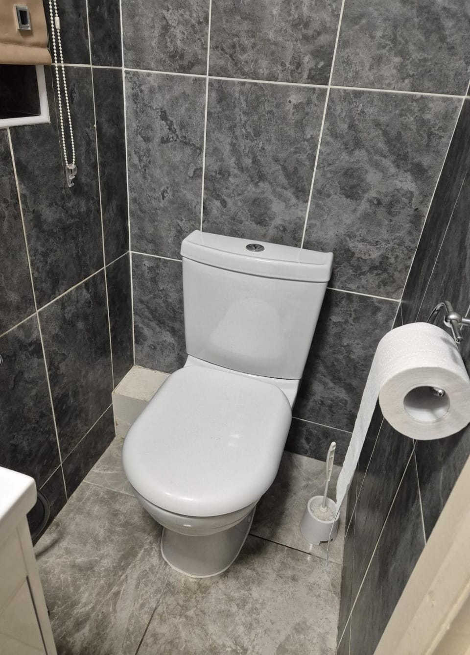Toilet, Bathroom, Internal: Not applicable to any particular room