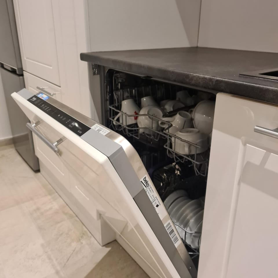 Kitchen or kitchenette, dishwasher