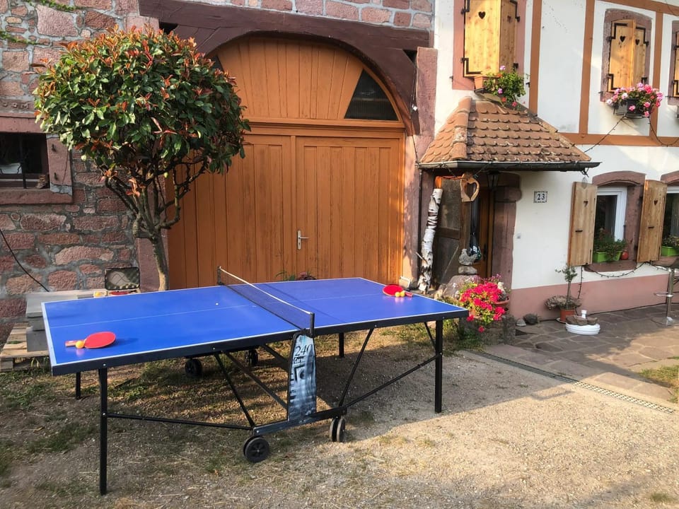 Table tennis