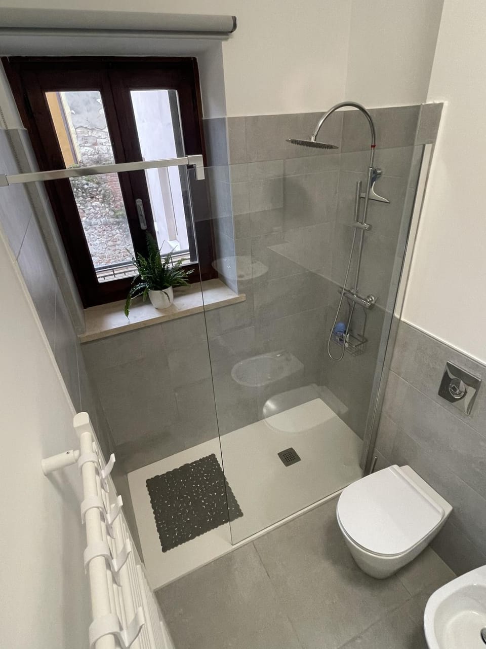 Shower, Toilet, Bathroom, bidet