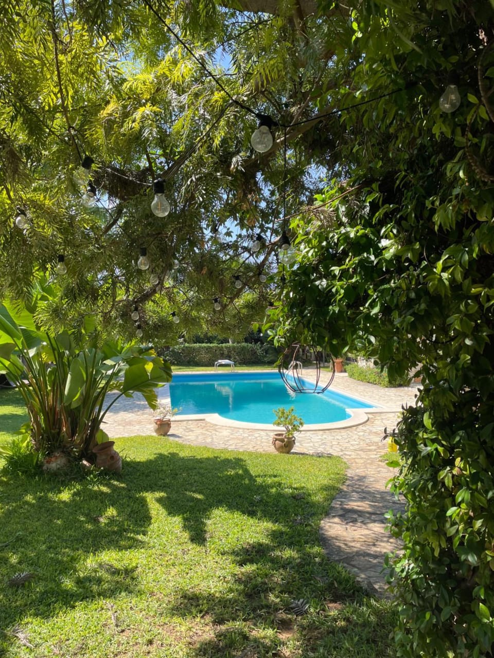 Garden, Garden view, Pool view, Swimming pool
