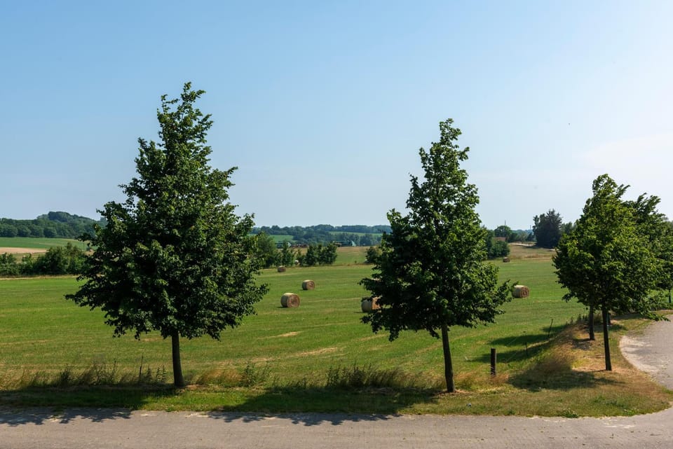 Natural landscape, View (from property/room)