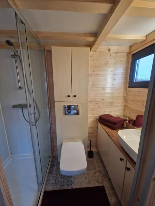 Shower, Toilet, Bathroom, towels