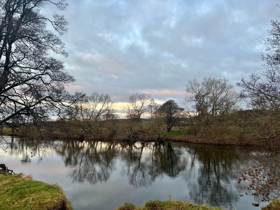 Natural landscape, River view