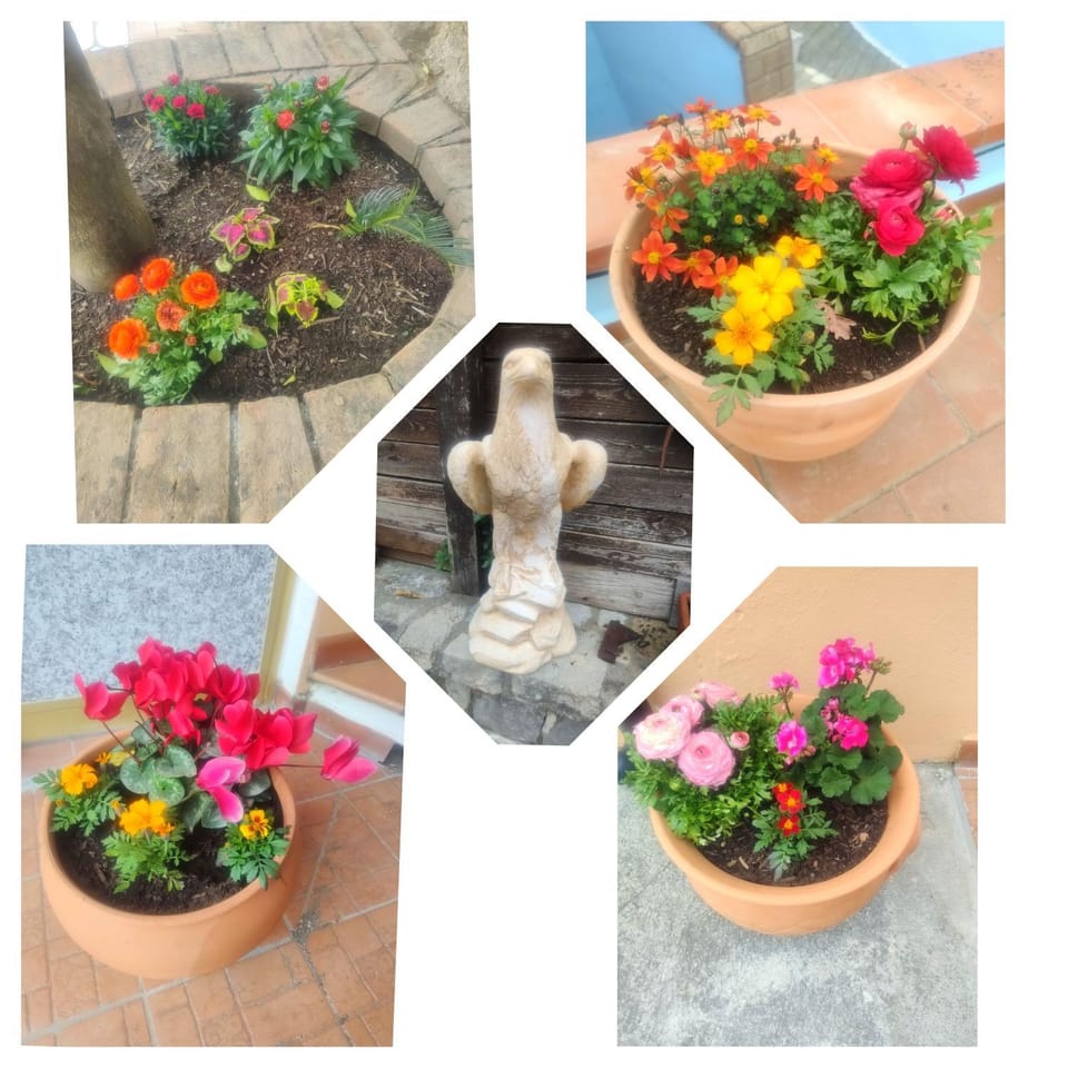 Garden, Garden view