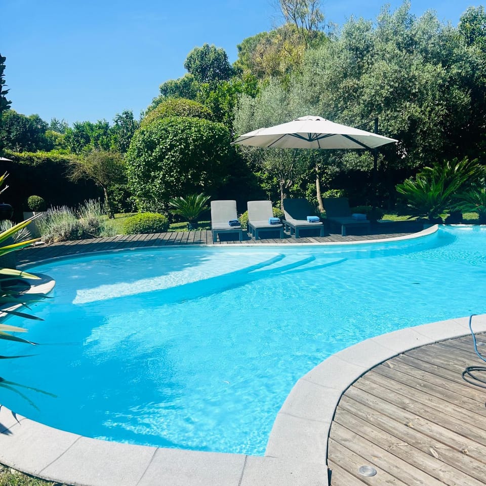 Pool view, Swimming pool, sunbed, towels