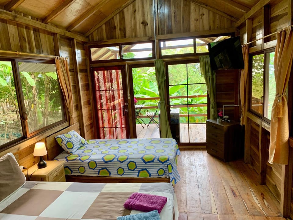 Photo of the whole room, Garden view