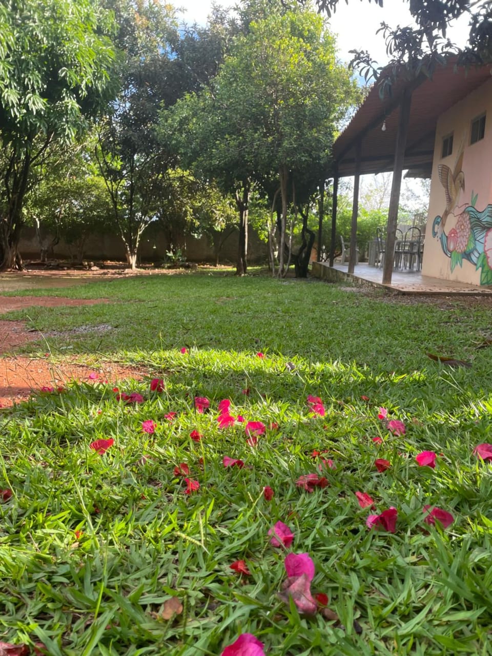 Garden view