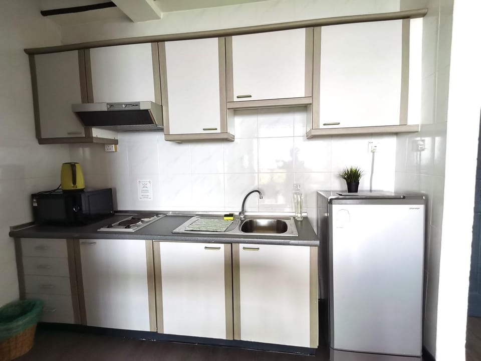 Kitchen or kitchenette, minibar