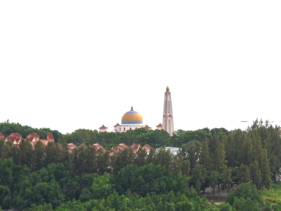 View (from property/room)