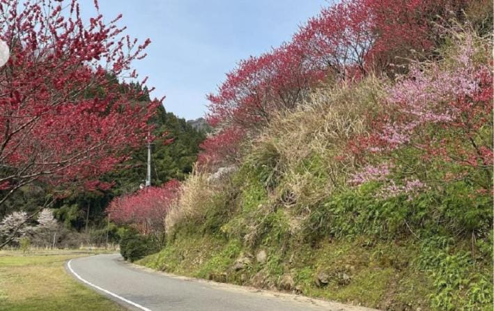 ゲストハウスMizu no Oto Apartment in Japan
