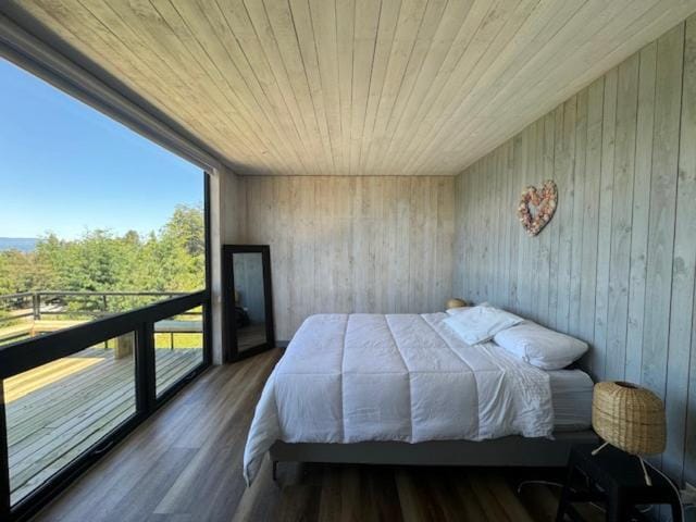 Casa Flor del Lago House in Araucania, Chile