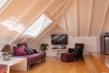 Luxury Eco Apt w Pool Gym & Sauna - Adults only Apartment in Wanaka
