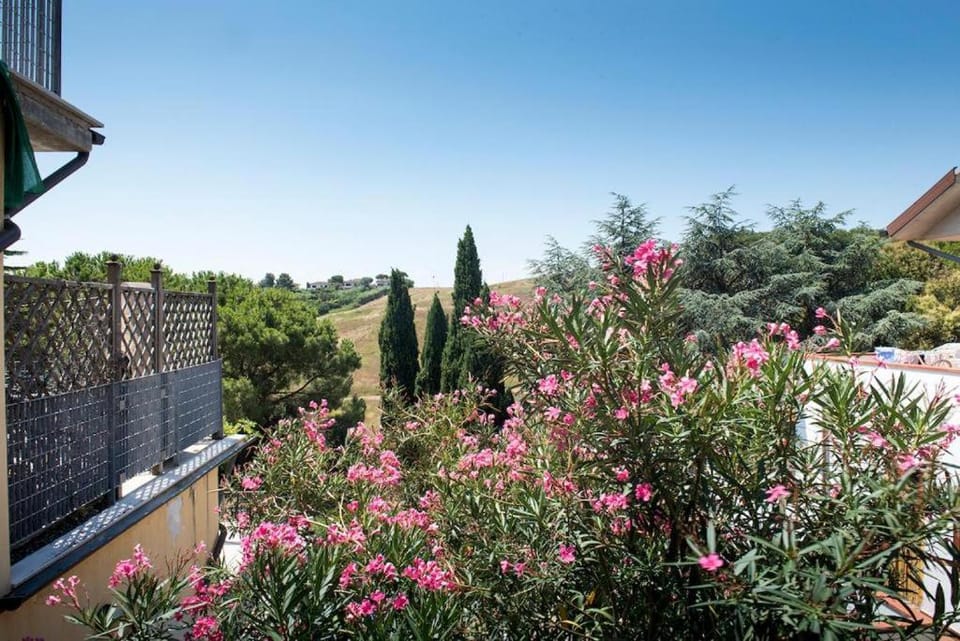 M213 - Marcelli, trilocale con ampio terrazzo panoramico Apartment in Marcelli