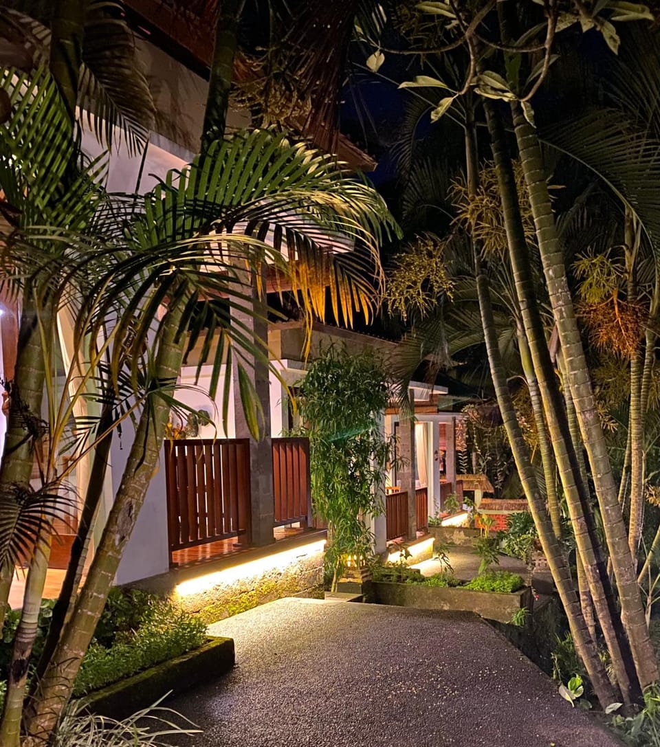 Property building, Night, Garden, Garden view