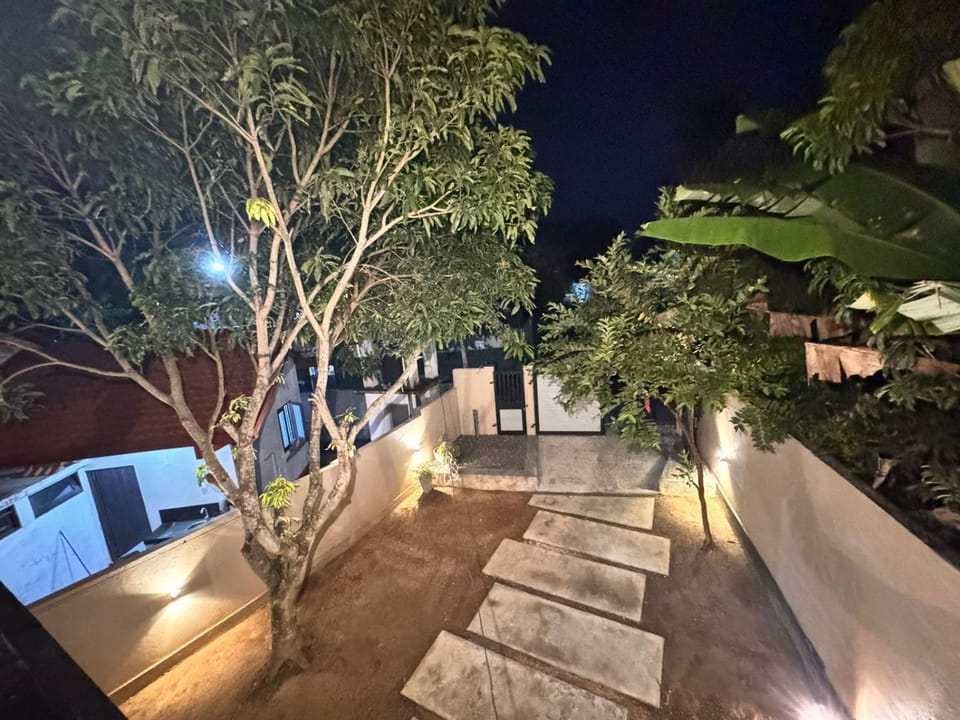 Night, Garden, Garden, Garden view