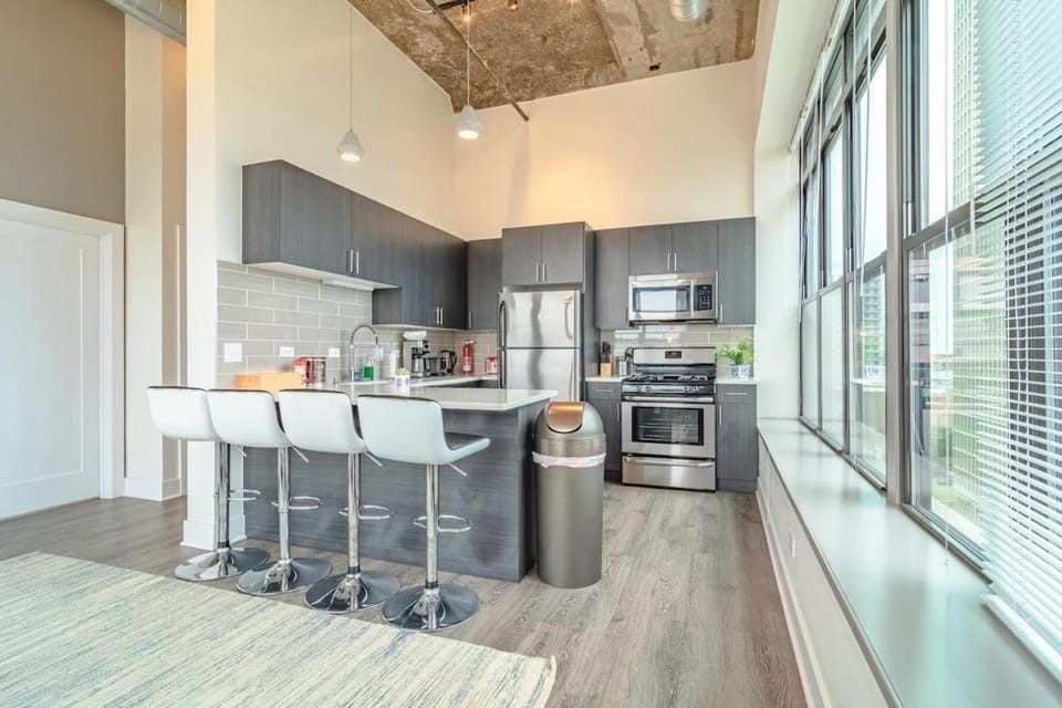 Luxury 2BR Suite with Optional Parking and Gym access Near McCormick Place and Soldier Field Apartment in South Loop