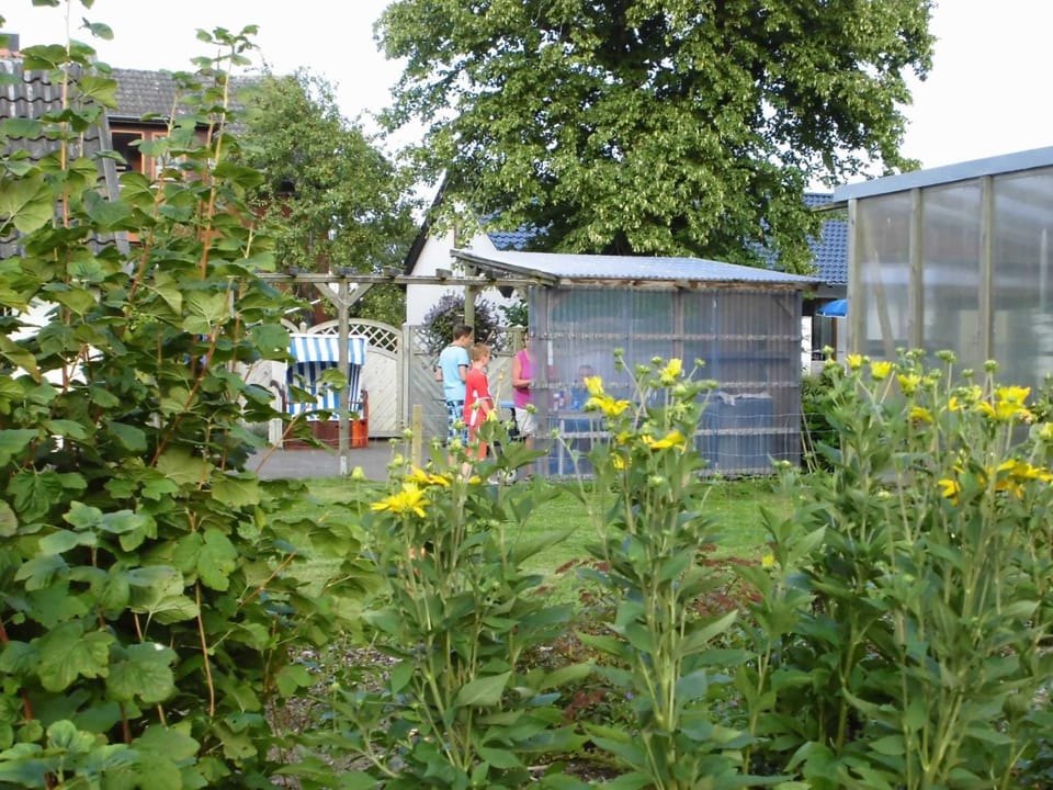 Property building, Garden