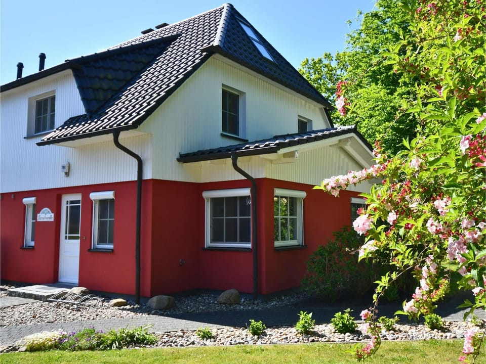 Property building, Day, Garden