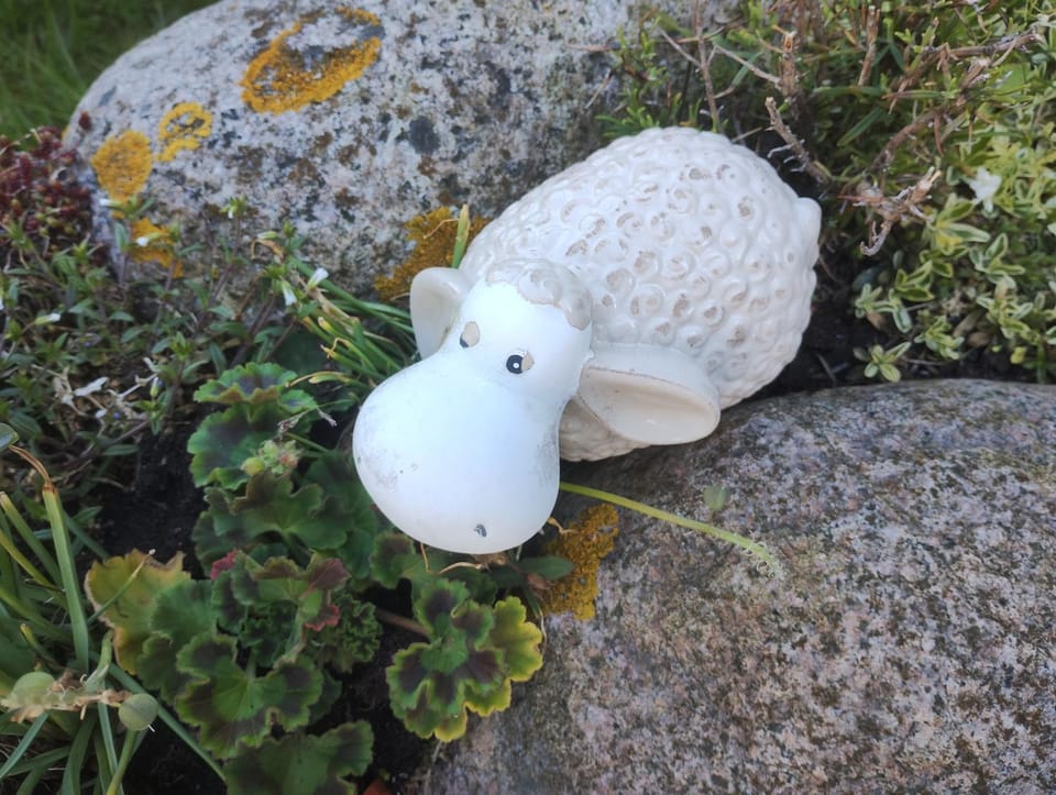 Berlin-Wilmersdorfer Nordseeheim - mit Etagenküchen zur Selbstversorgung Bed and Breakfast in Nordfriesland