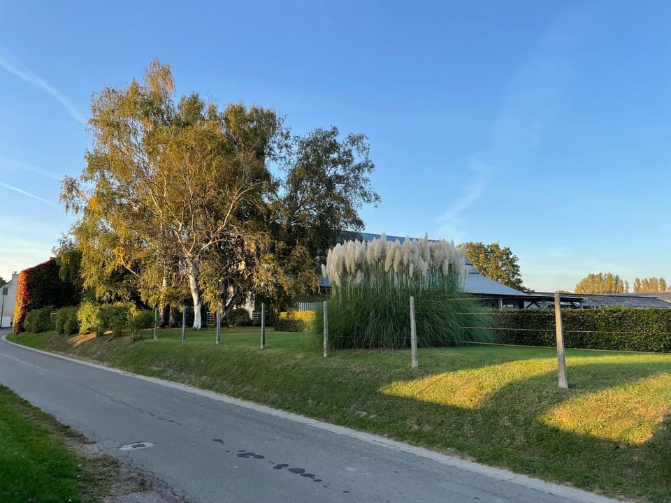 Neighbourhood, Natural landscape