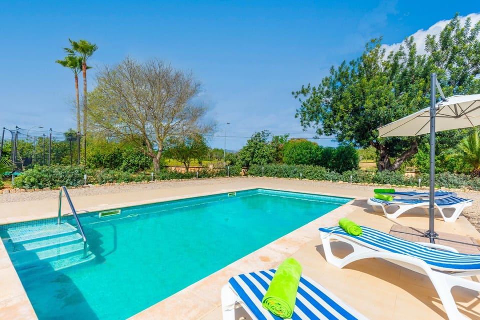 Pool view, Swimming pool, sunbed