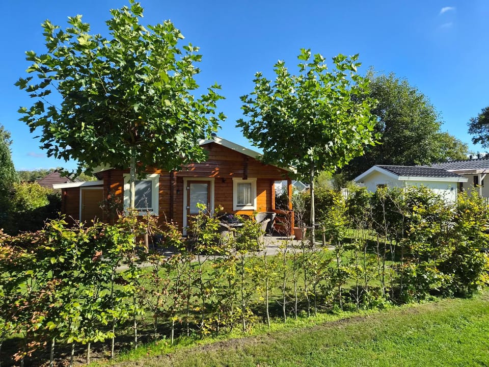 Property building, Garden, Garden view