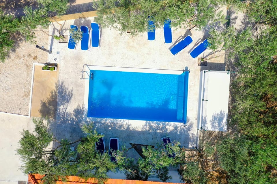 Day, Garden, Pool view, Swimming pool, sunbed
