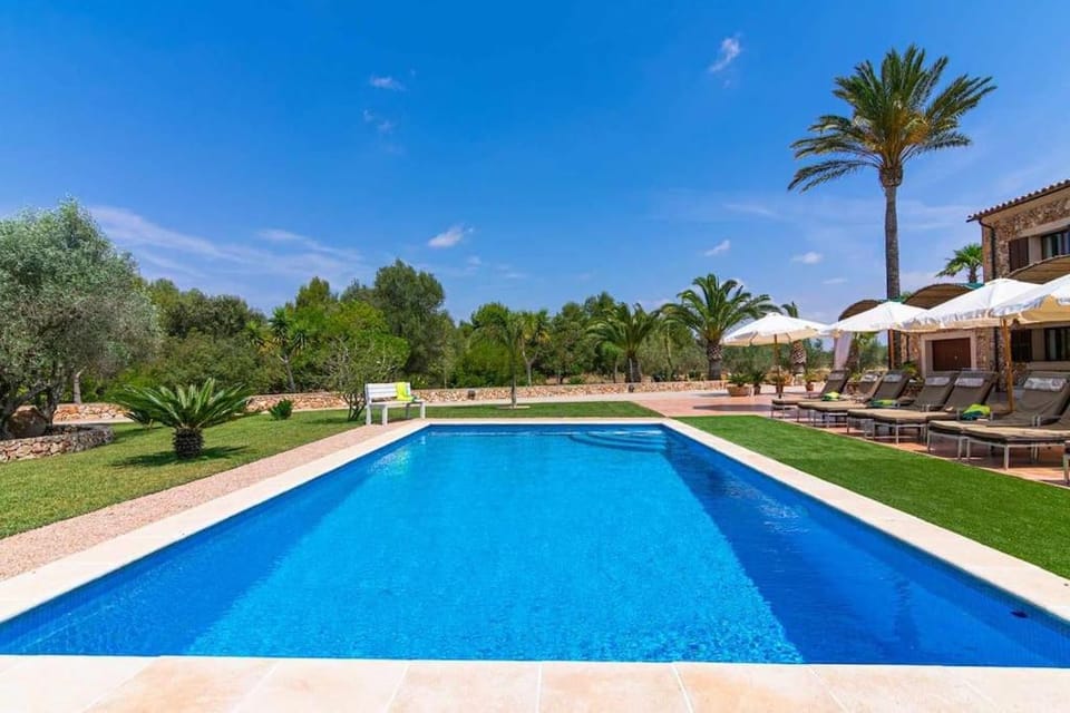 Pool view, Swimming pool, sunbed