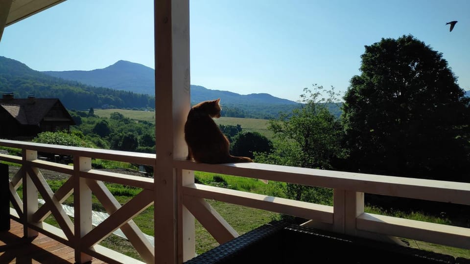 Spring, Day, Natural landscape, View (from property/room), Balcony/Terrace, Balcony/Terrace, Mountain view
