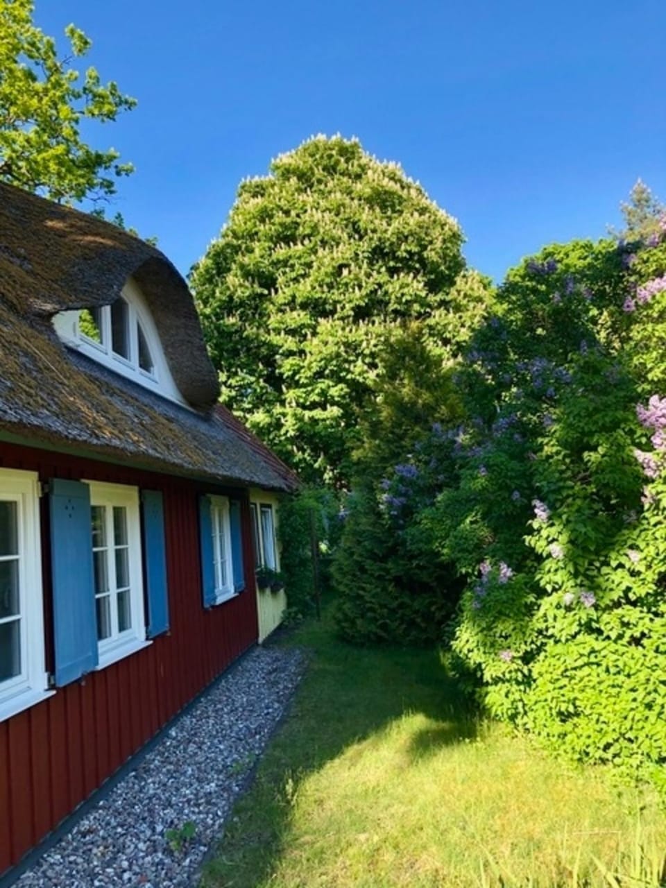 Ellas Kate Apartment in Prerow