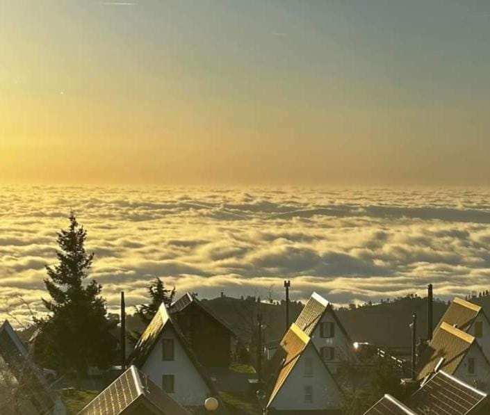 Chalé Zimbro, Serra da Estrela, Penhas da Saúde Chalet in Portugal