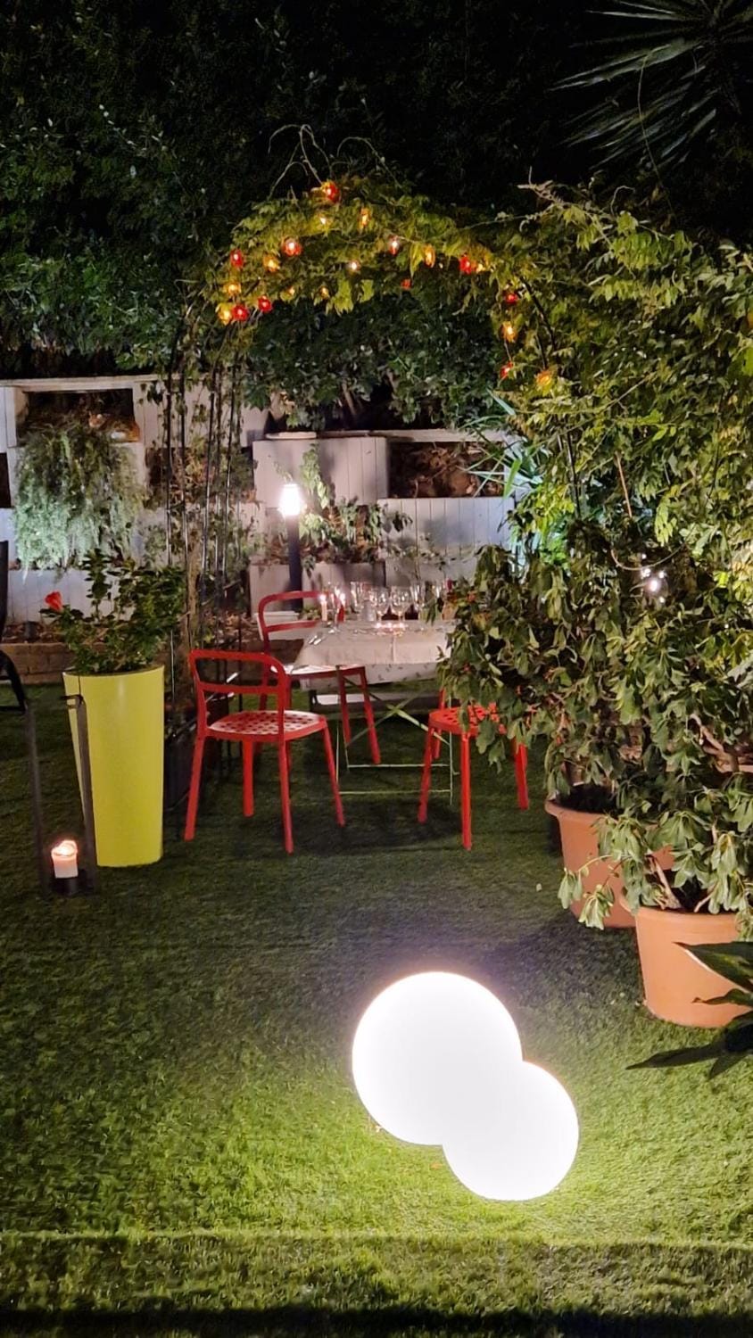Night, Garden, Garden view