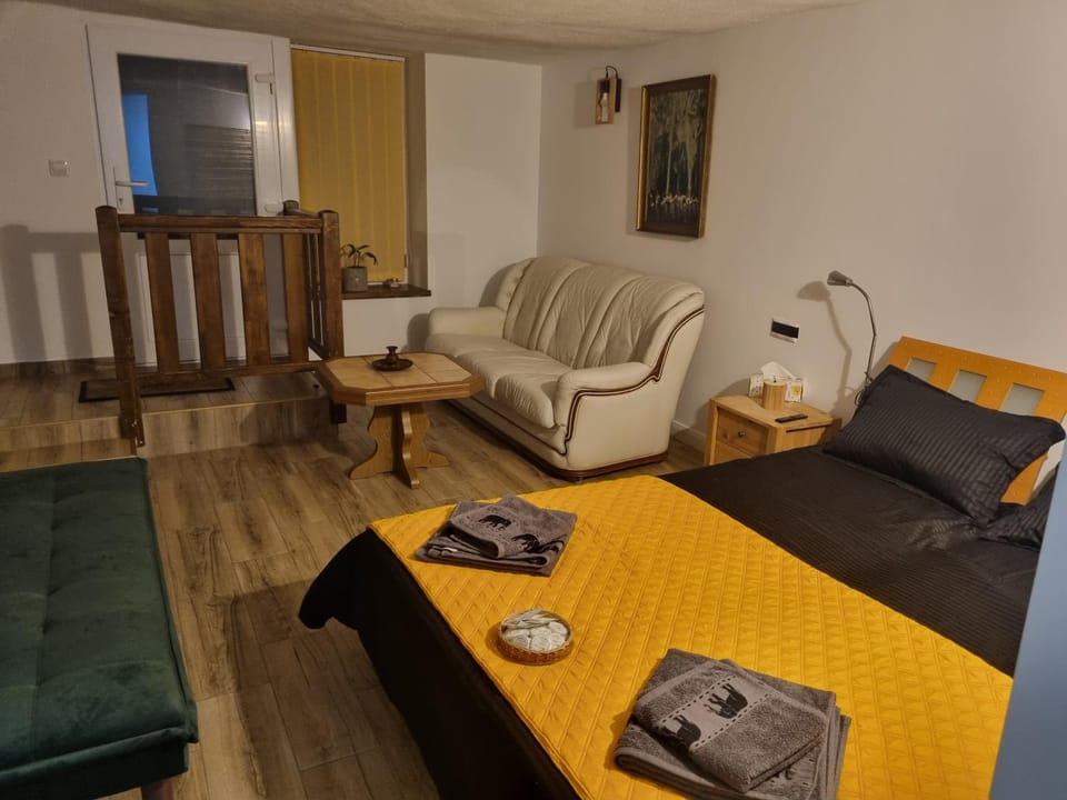 Ultracentral Garage studio Apartment in Romania