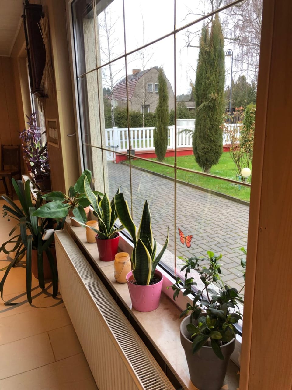 Garden view