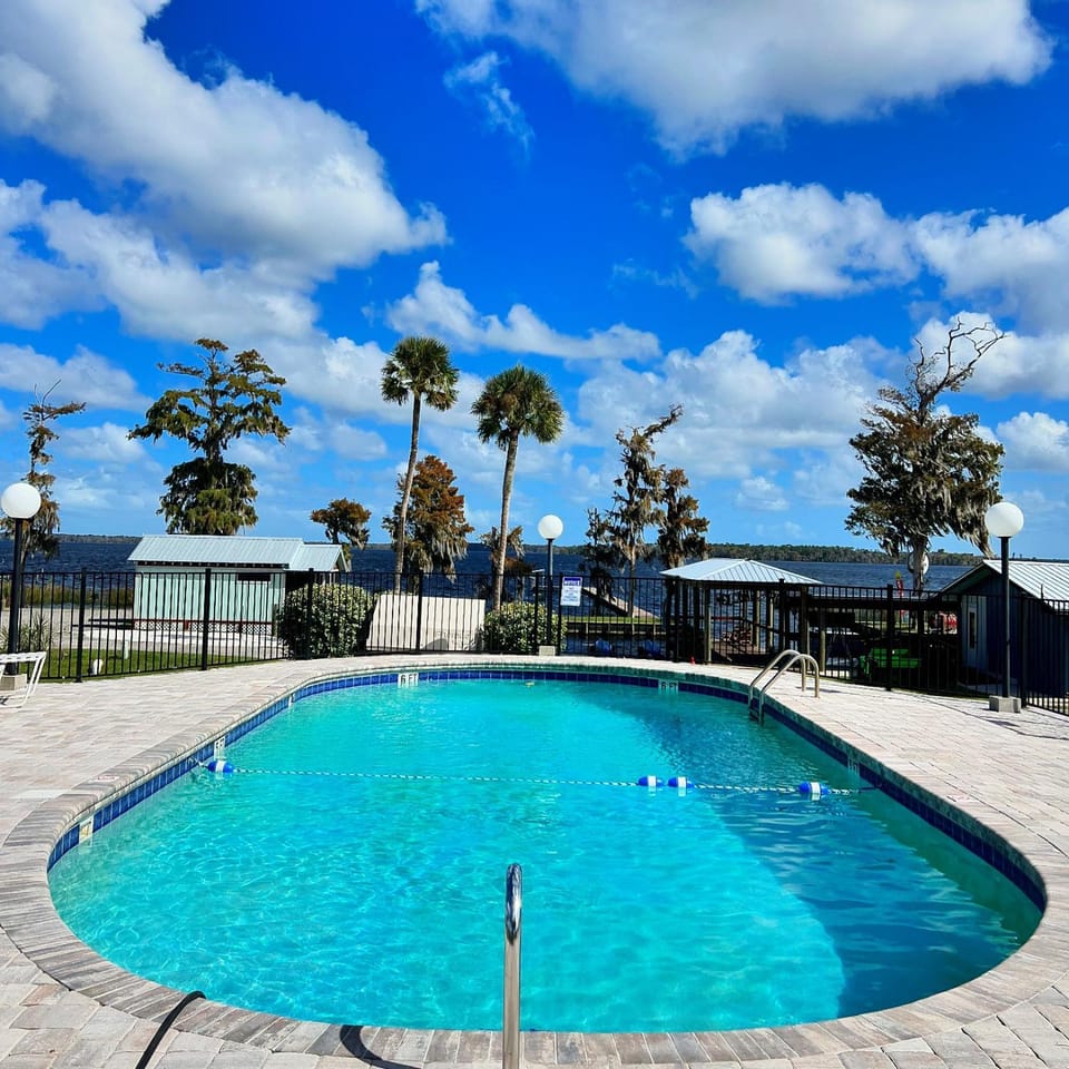 Day, Natural landscape, Pool view, Swimming pool, Swimming pool, sunbed
