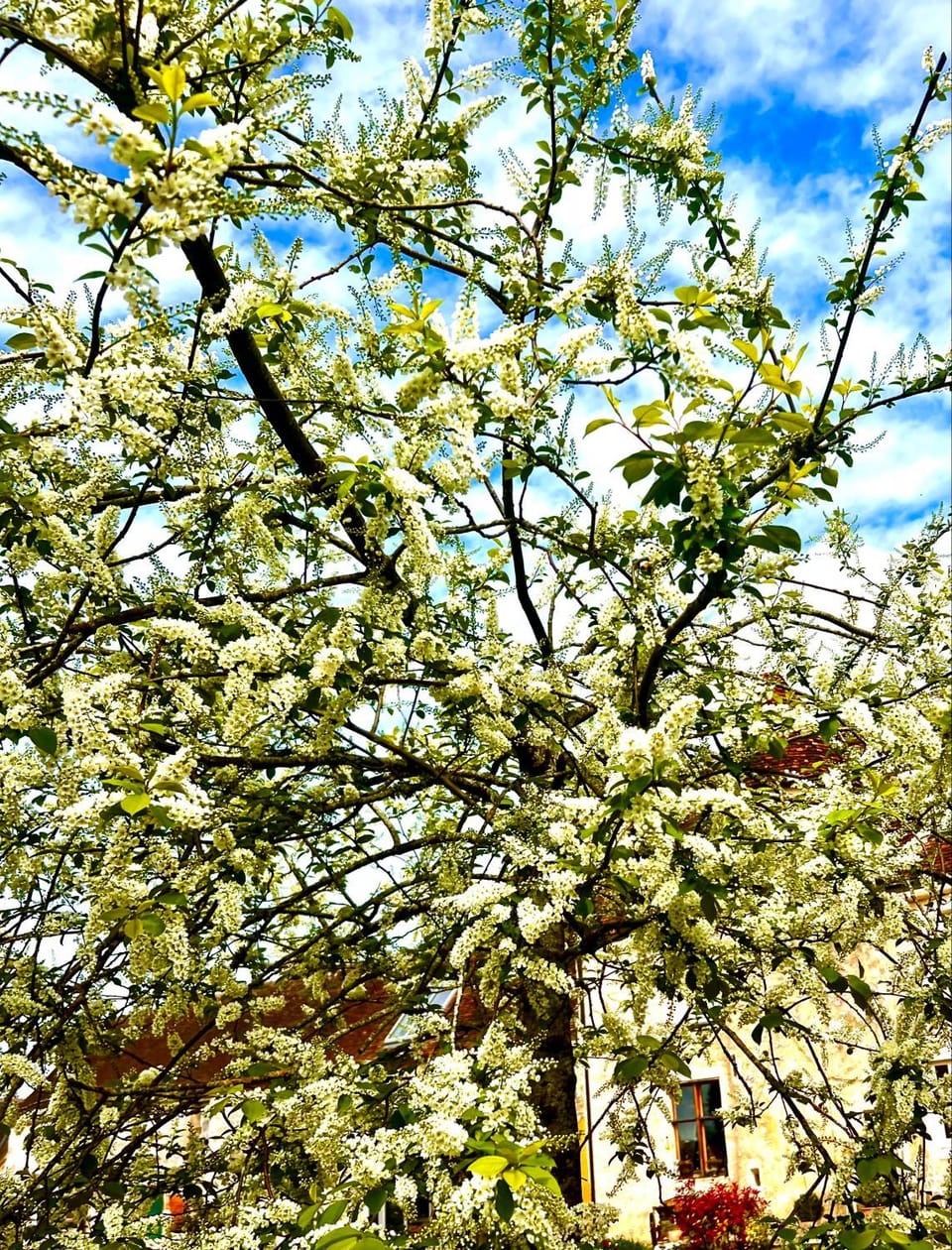 Manoir de La Barre Ceton Apartment in Normandy