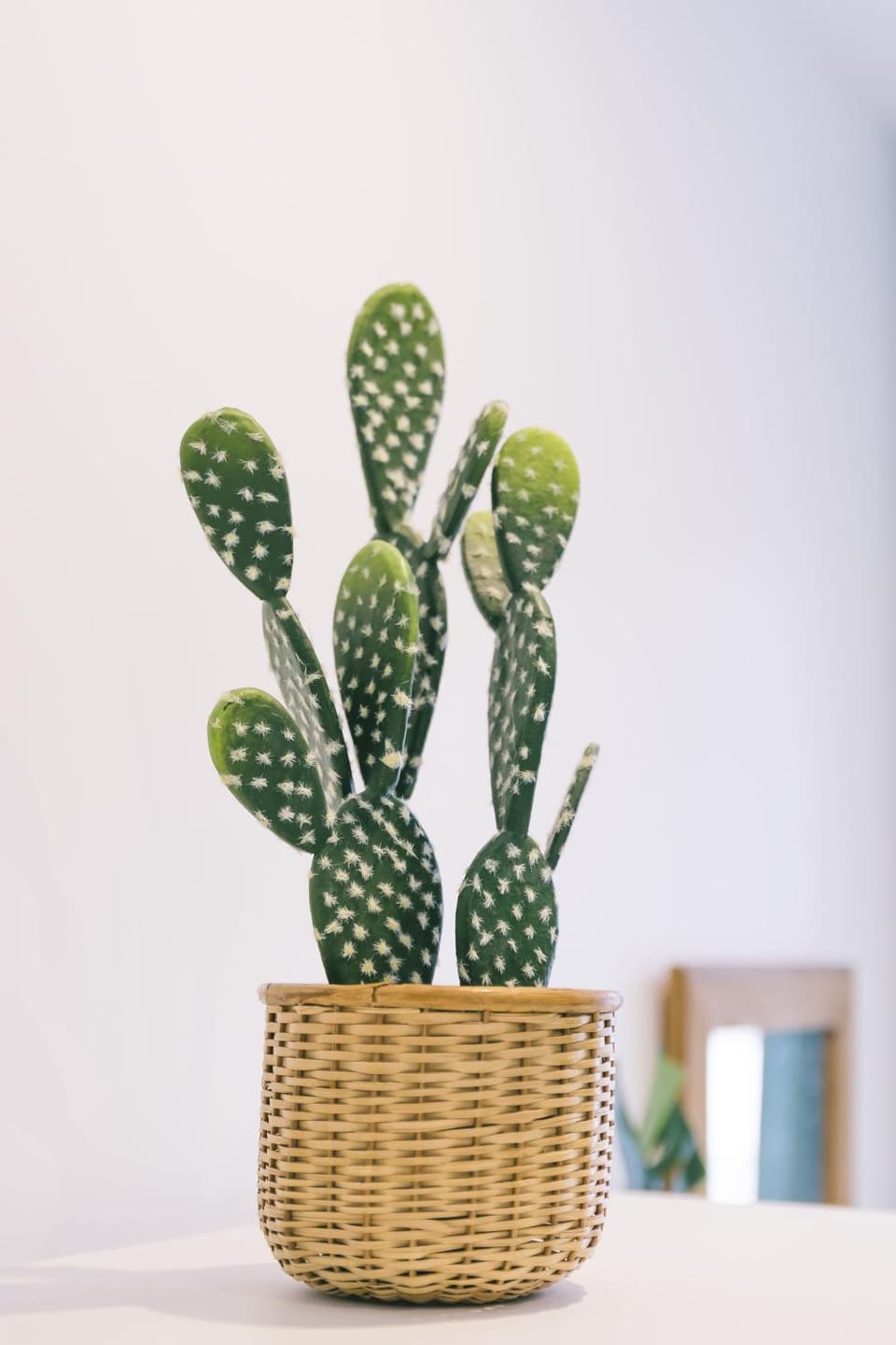 Decorative detail