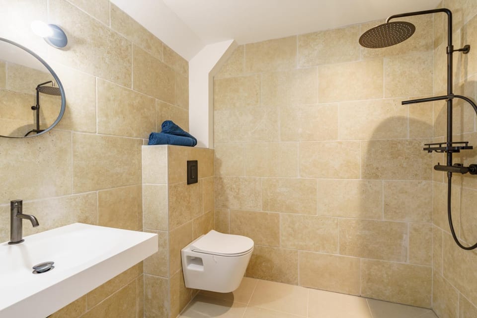 Shower, Toilet, Bathroom, Facility for disabled guests