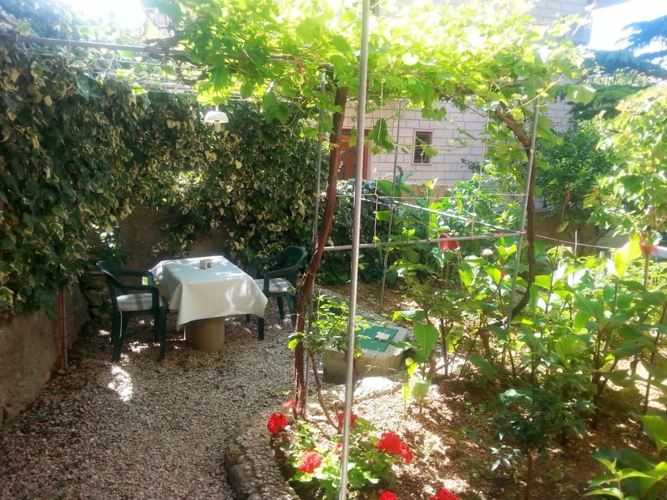 Patio, Garden