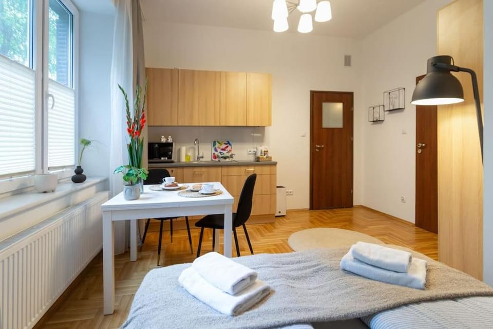 May A studio Apartment in Krakow