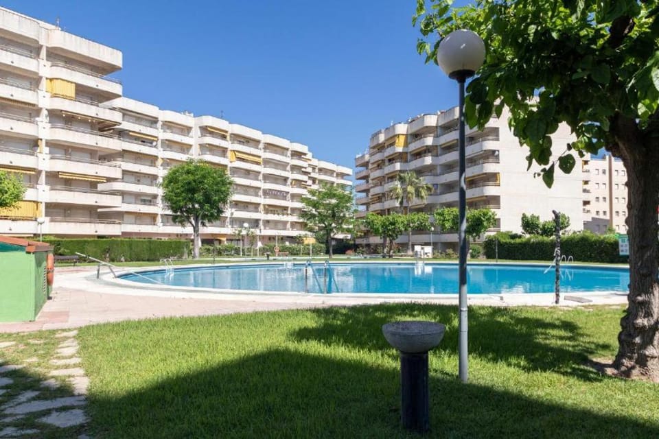 Garden, Swimming pool