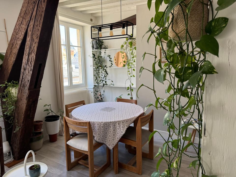 Appartement central - ORLEANS Apartment in Orléans