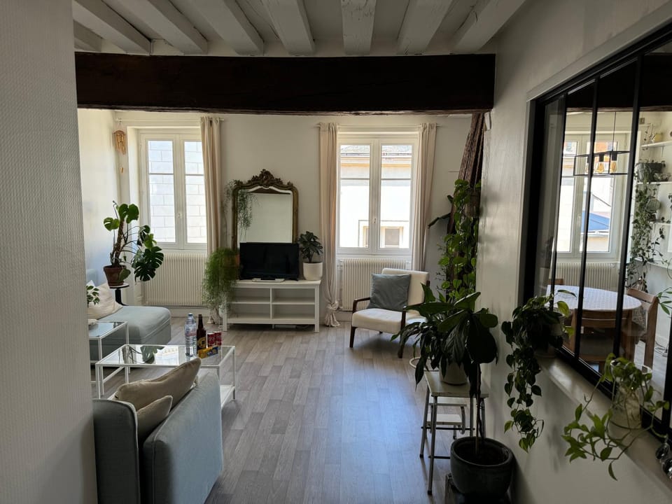 Appartement central - ORLEANS Apartment in Orléans