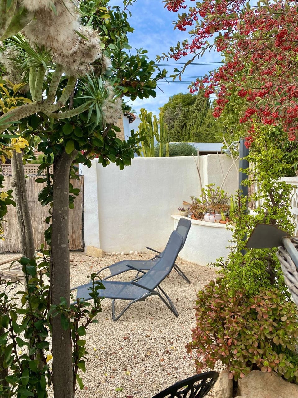 Garden, Garden view, sunbed