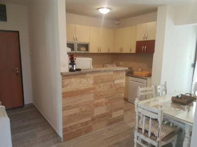 APARTMAN PAVLE Apartment in Budva Municipality