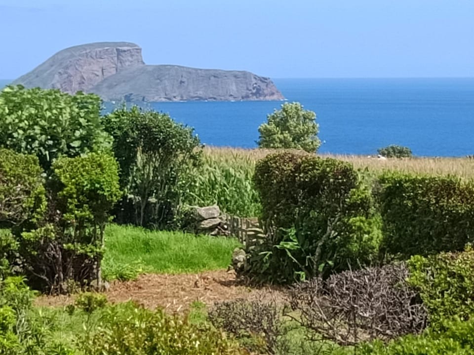 Natural landscape, Sea view