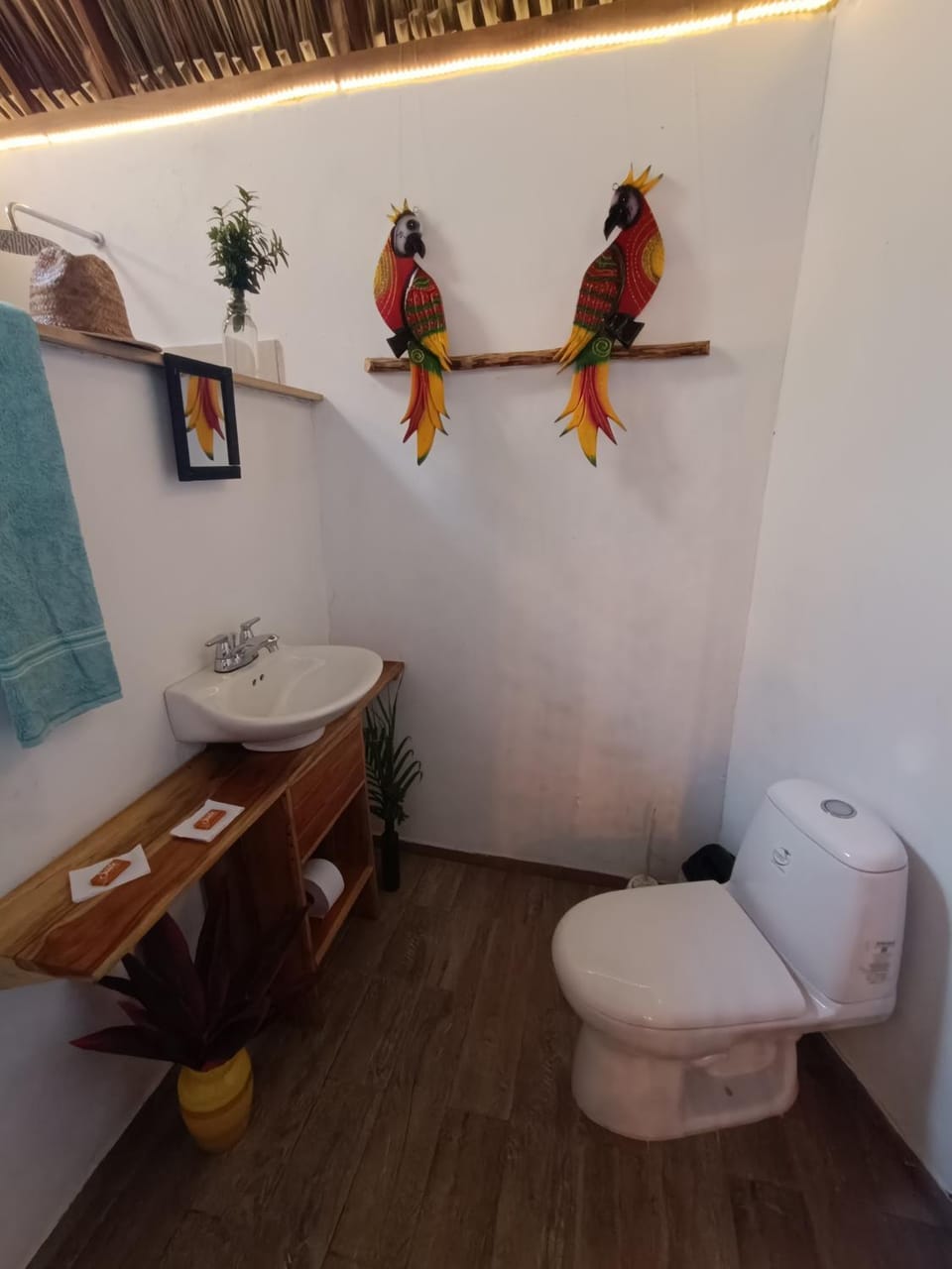 El Paraiso de Carmen Bed and Breakfast in Magdalena, Colombia