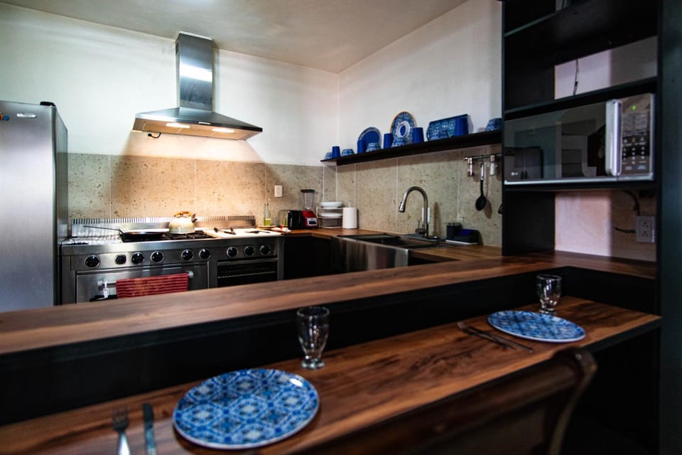 Kitchen or kitchenette, minibar, pet friendly, stove