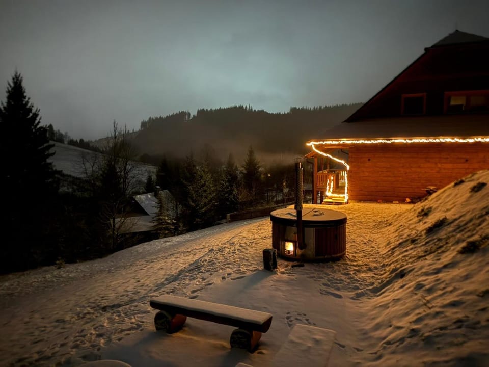 Night, Winter, Mountain view